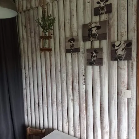 La Cabane Des Druides *