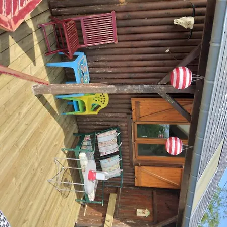 La Cabane Des Druides